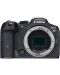 Безогледален фотоапарат Canon - EOS R7, RF-S 18-150mm IS STM, Black + Обектив Canon - RF-S, 10-18mm, f/4.5-6.3, IS STM - 3t