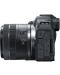 Безогледален фотоапарат Canon - EOS R8, RF 24-50mm, f/4.5-6.3 IS STM + Обектив Canon - RF 50mm, F/1.8 STM - 8t