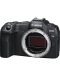 Безогледален фотоапарат Canon - EOS R8, 24.2MPx, черен + Обектив Canon - RF 35mm f/1.8 IS Macro STM - 3t