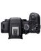 Безогледален фотоапарат Canon - EOS R10, Black - 2t