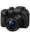 Безогледален фотоапарат Panasonic - Lumix G GH5 II, 12-60mm, Black - 1t