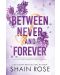 Between Never and Forever - 1t