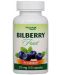 Bilberry Fruit, 375 mg, 60 капсули, Phyto Wave - 1t
