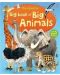 Big Book of Big Animals - 1t
