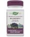 Bilberry, 90 капсули, Nature's Way - 1t