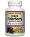 Black Elderberry Standardized Extract, 100 mg, 60 софтгел капсули, Natural Factors - 1t