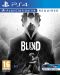 Blind VR (PS4 VR) - 1t