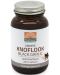 Black Garlic, 250 mg, 60 капсули, Mattisson Healthstyle - 1t