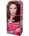 Garnier Color Sensation Боя за коса, Red Brown, 4.60 - 1t