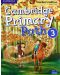 Cambridge Primary Path Level 3 Teacher's Edition / Английски език - ниво 3: Книга за учителя - 1t