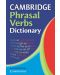 Cambridge Phrasal Verbs Dictionary - 1t