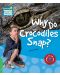 Cambridge Young Readers: Why Do Crocodiles Snap? Level 3 Factbook - 1t