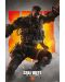 Макси плакат Pyramid - Call of Duty: Black Ops 4 - Ruin - 1t
