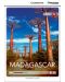 Cambridge Discovery Education Interactive Readers: Madagascar - Level А2 (Адаптирано издание: Английски) - 1t