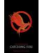 Catching Fire: Hunger Games Trilogy, Book 2 - 1t