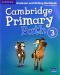 Cambridge Primary Path Level 3 Grammar and Writing Workbook / Английски език - ниво 3: Граматика с упражнения - 1t