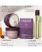 Caudalie Vinosculpt Контуриращ концентрат, 75 ml - 4t