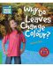 Cambridge Young Readers: Why Do Leaves Change Colour? Level 3 Factbook - 1t