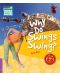 Cambridge Young Readers: Why Do Swings Swing? Level 4 Factbook - 1t