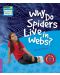 Cambridge Young Readers: Why Do Spiders Live in Webs? Level 4 Factbook - 1t