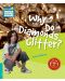 Cambridge Young Readers: Why Do Diamonds Glitter? Level 5 Factbook - 1t