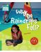 Cambridge Young Readers: Why Do Raindrops Fall? Level 3 Factbook - 1t