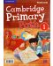 Cambridge Primary Path Level 1 Flashcards / Английски език - ниво 1: Флашкарти - 1t
