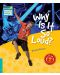 Cambridge Young Readers: Why Is It So Loud? Level 5 Factbook - 1t