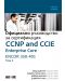 CCNP and CCIE Enterprise Core ENCOR 350-401: Официално ръководство за сертификация - том 2 - 1t