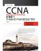 CCNA Routing and Switching ICND 1 - част 1 - 1t