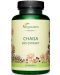 Chaga Bio Extrakt, 600 mg, 90 капсули, Vegavero - 1t