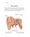 Човешкото тяло. Илюстрован атлас - 4t