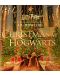 Christmas at Hogwarts - 1t