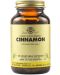 Cinnamon, 100 растителни капсули, Solgar - 1t