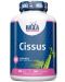 Cissus, 500 mg, 100 капсули, Haya Labs - 1t