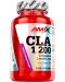 CLA 1200 + Green Tea, 120 капсули, Amix - 1t