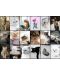Пъзел Grafika от 1000 части - Колаж с котки - 2t