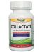 Collactate, 400 mg, 30 капсули, Phyto Wave - 1t