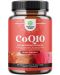 CoQ10, 100 mg, 60 течни капсули, Nature's Craft - 1t
