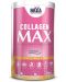 Collagen Max, кайсия, 395 g, Haya Labs - 1t
