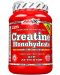 Creatine Monohydrate Powder, 1000 g, Amix - 1t