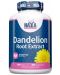 Dandelion Root Extract, 500 mg, 100 капсули, Haya Labs - 1t