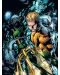 DC Comics – The New 52: The Poster Collection - 5t