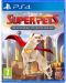 DC League of Super-Pets: The Adventures of Krypto and Ace (PS4) - 1t