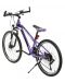 Детски велосипед Zizito - Brooklyn, 24, лилав - 3t