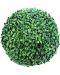 Декоративна топка Rossima - Чемшир, 28 cm, PVC, тъмнозелена - 1t