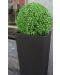 Декоративна топка Rossima - Чемшир, 28 cm, PVC, тъмнозелена - 2t