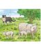Детски пъзел Haba - Селскостопански животни, 3 броя - 2t