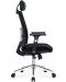 Ергономичен стол RFG - Luxe Chrome HB, черен - 3t