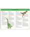 Детски пъзел за наблюдателност Djeco – Динозаврите, 100 части + книжка - 2t